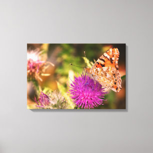 Brown Butterfly Pink  Thorn Photo Canvas Print