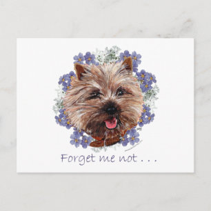 Brown Cairn Terrier Forget-me-not Postcard