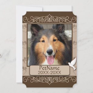 Brown Calligraph Swirls Custom Pet Sympathy Card