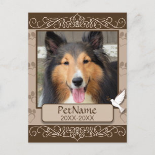 Brown Calligraph Swirls Custom Pet Sympathy Postcard