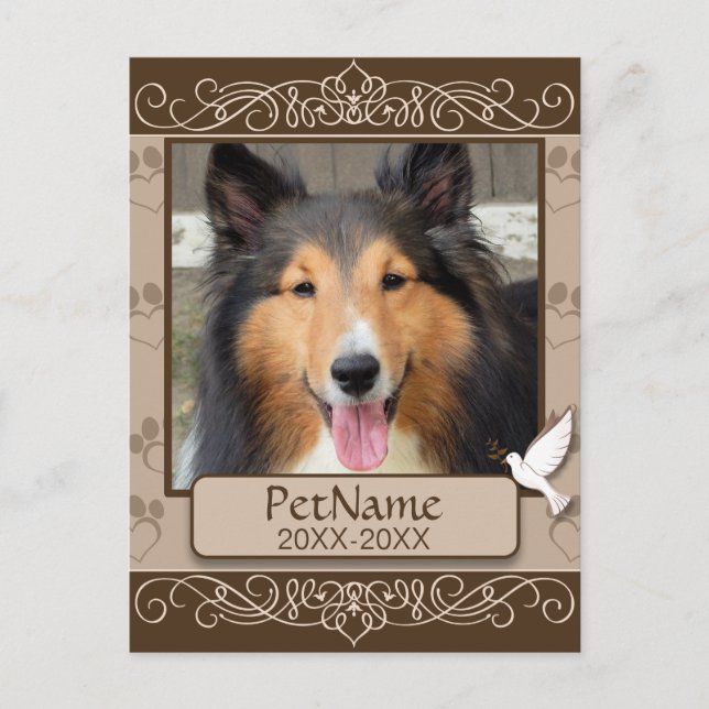 Brown Calligraph Swirls Custom Pet Sympathy Postcard (Front)