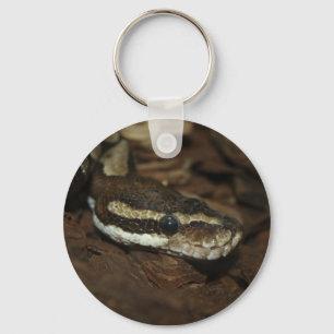 Brown Carpet Python Key Ring