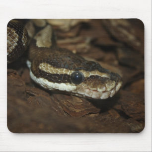Brown Carpet Python Mouse Mat