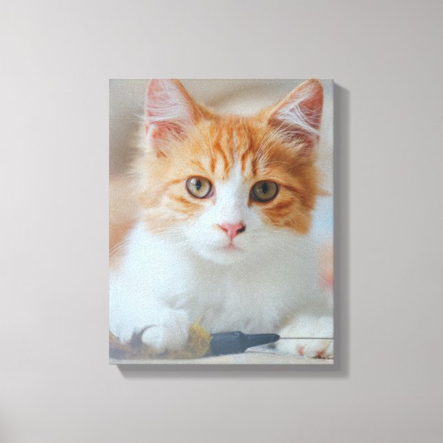 Brown Cat Canvas Print (Front)