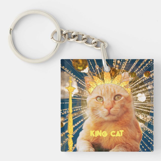Brown Cat Funny Pet Lovers Cool Modern Hot Trendy Key Ring (Front)
