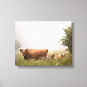 brown cattle in the middle of forest canvas print