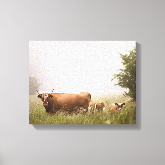 brown cattle in the middle of forest canvas print (Front)