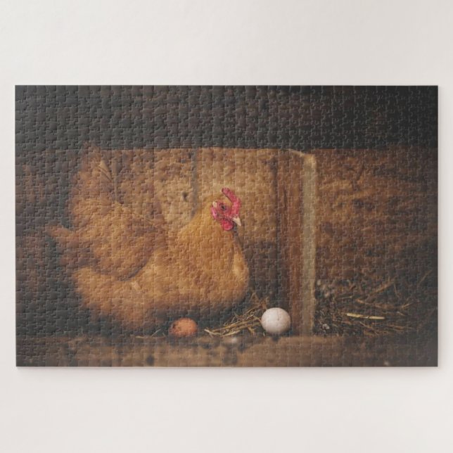 Brown chicken laying eggs jigsaw puzzle (Horizontal)