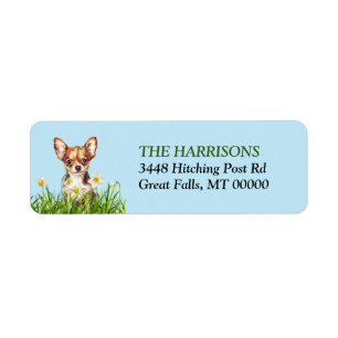 Brown Chihuahua Dog Daffodil Garden