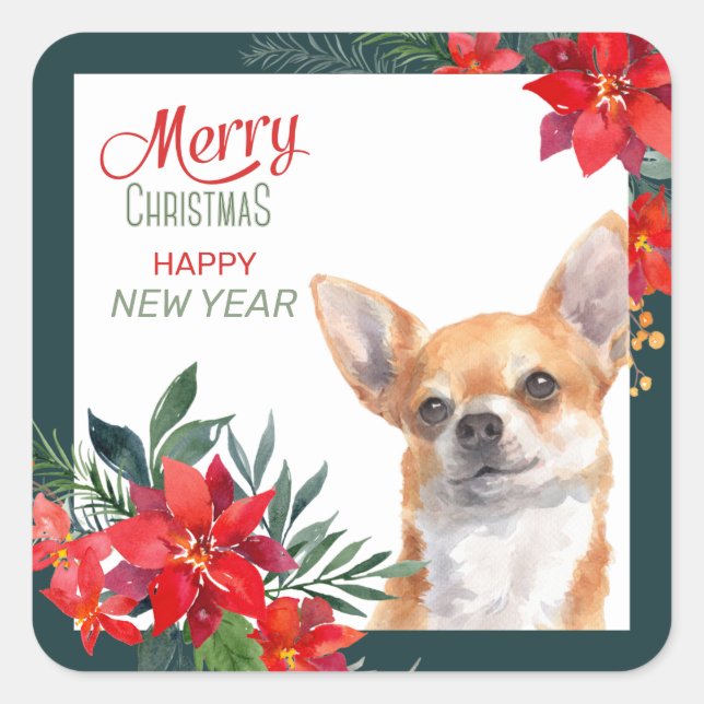 Brown Chihuahua Dog Poinsettia Border Christmas Square Sticker (Front)