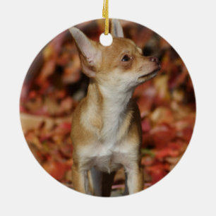 Brown Chihuahua Puppy Ceramic Tree Decoration