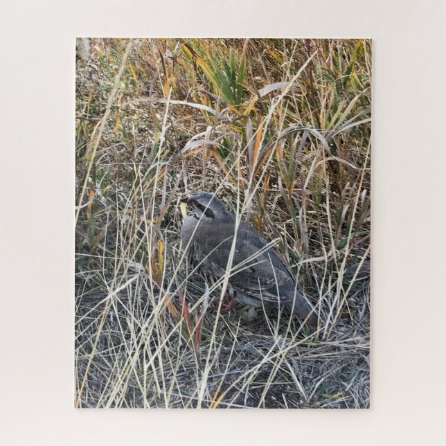 Brown Chukar Partridge almost hidden Jigsaw Puzzle (Vertical)