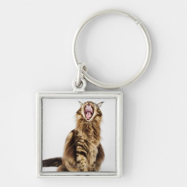 Brown Classic Main Coon Tabby Key Ring (Front)