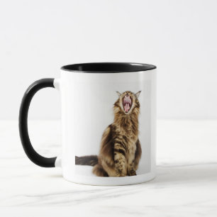 Brown Classic Main Coon Tabby Mug