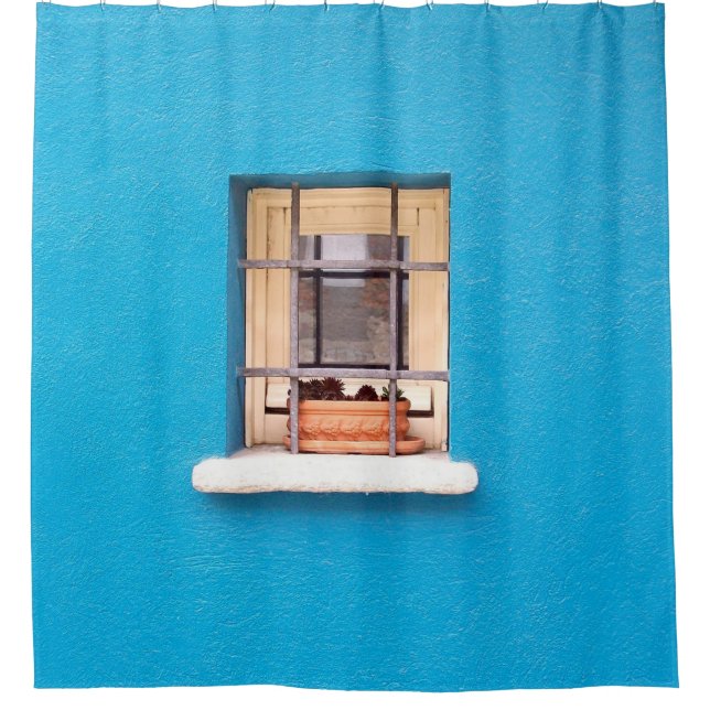BROWN CLAY POT ON WINDOW SHOWER CURTAIN (Front)