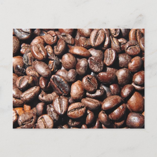 BROWN COFFEE BEANS PHOTOGRAPHY BACKGROUNDS FOODS POSTCARD (Front)