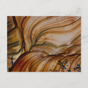 Brown coloured Deschutes Jasper Postcard