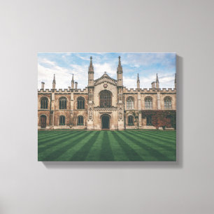 brown concrete palace under blue sky at daytime canvas print