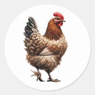Brown Country Chicken Farm Barnyard  Classic Round Sticker