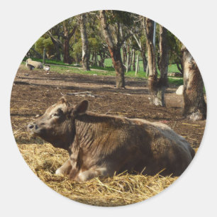 Brown Cow Bring On The Hay,  Classic Round Sticker