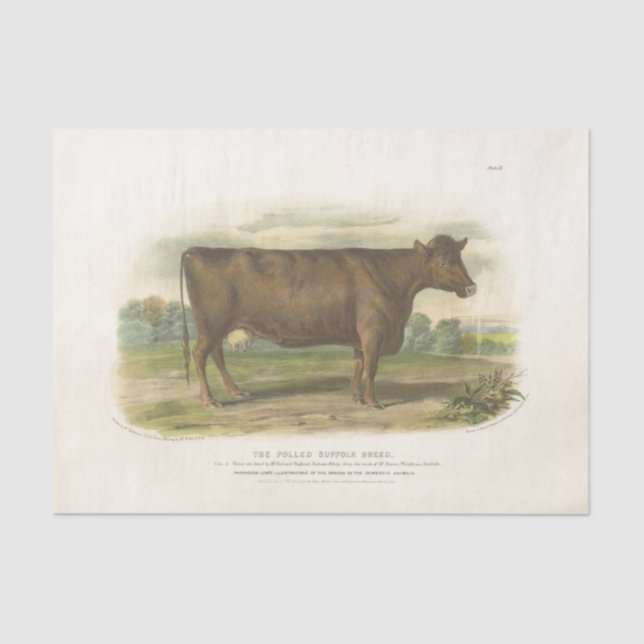 Brown Cow Ephemera Decoupage Vintage Farm Tissue Paper (Front)