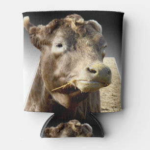 Brown Cow Face Munching On Hay, Can Cooler