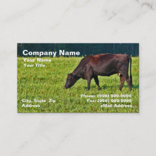 Brown Cow Feeding on Grass Business Card