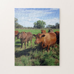 Brown Cow Herd, Jigsaw Puzzle