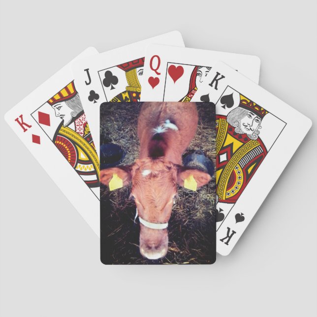 Brown cow playing cards (Back)