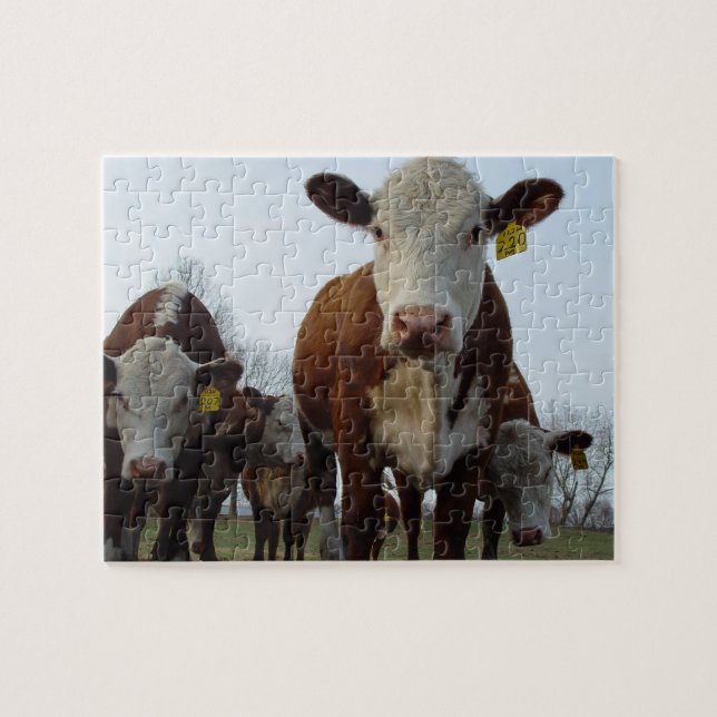 Brown Cow Puzzle (Horizontal)