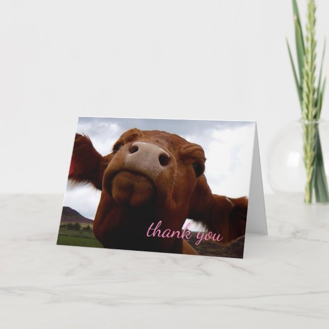 Brown cow Thank you Card (Front)