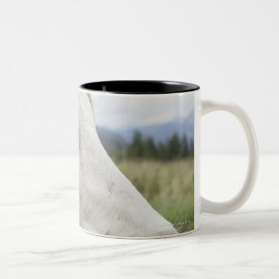 Brown cow with a sign in it?s ear on a feedlot, Two-Tone coffee mug