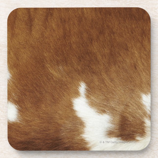Brown Cowhide Print Coaster (Front)