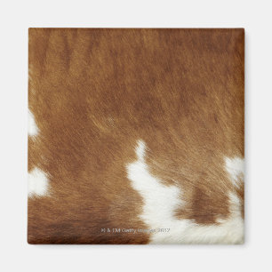 Brown Cowhide Print Magnet