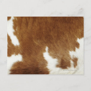 Brown Cowhide Print Postcard