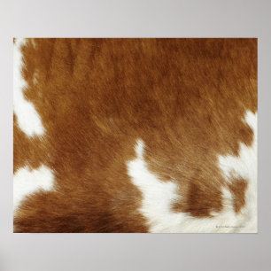 Brown Cowhide Print Poster