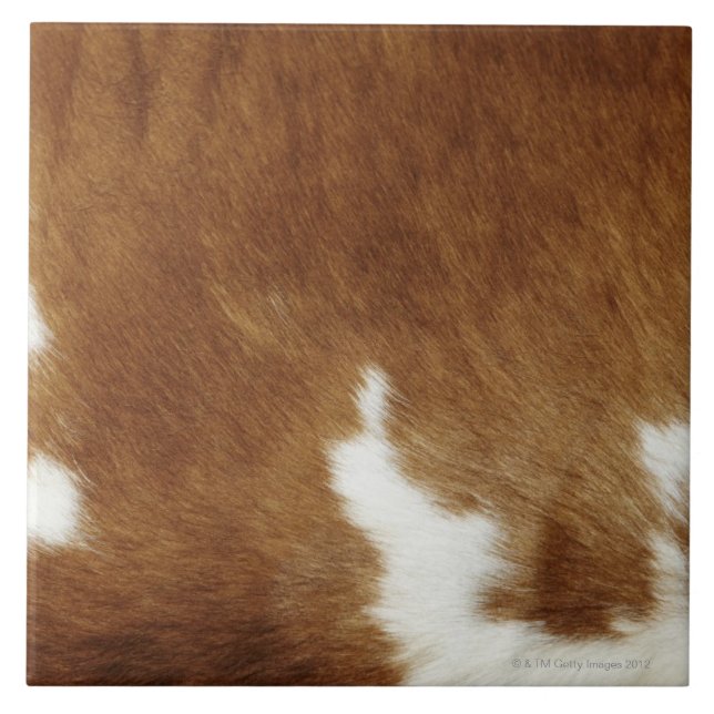 Brown Cowhide Print Tile (Front)