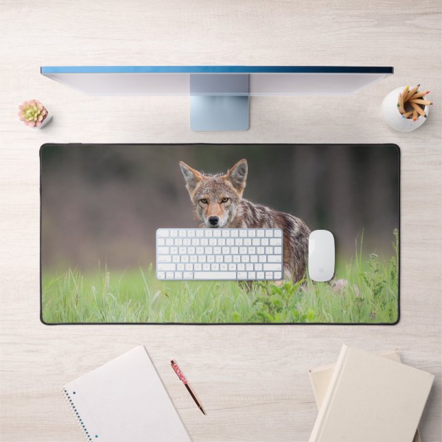 Brown Coyote, Canadian Wildlife Photography Desk Mat (Office 1)