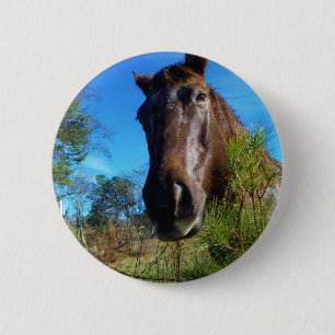 Brown & Cream Coloured Horse blue sky 6 Cm Round Badge