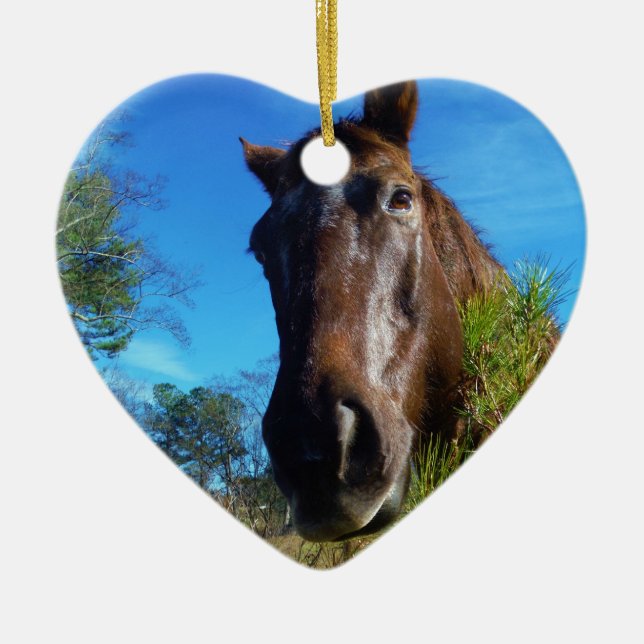 Brown & Cream Coloured Horse blue sky Ceramic Tree Decoration (Front)