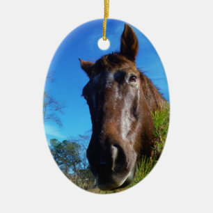 Brown & Cream Coloured Horse blue sky Ceramic Tree Decoration