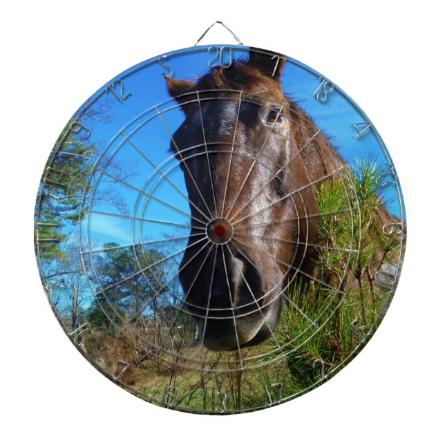 Brown & Cream Coloured Horse blue sky Dartboard (Front)
