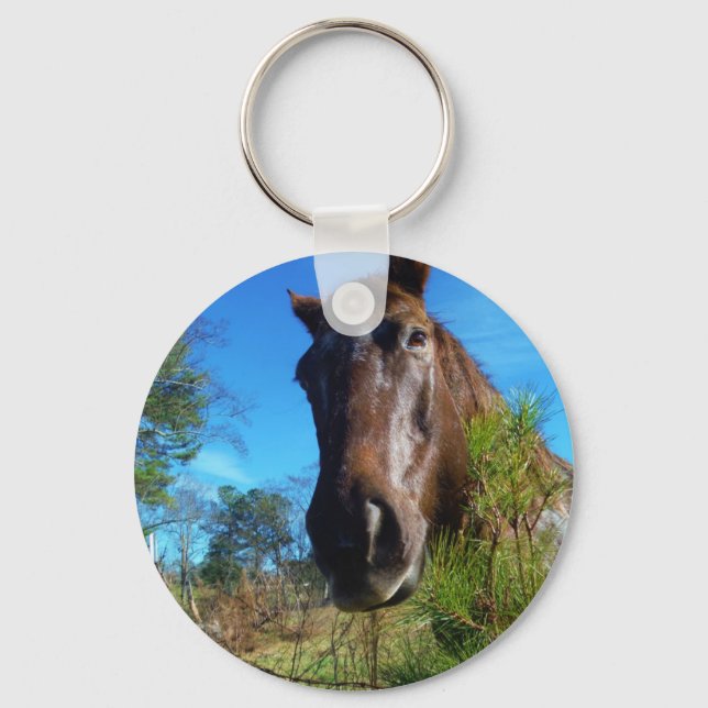 Brown & Cream Coloured Horse blue sky Key Ring (Front)