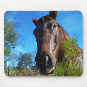 Brown & Cream Coloured Horse blue sky Mouse Mat