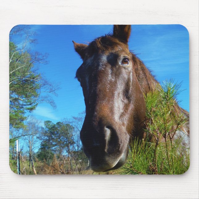 Brown & Cream Coloured Horse blue sky Mouse Mat (Front)