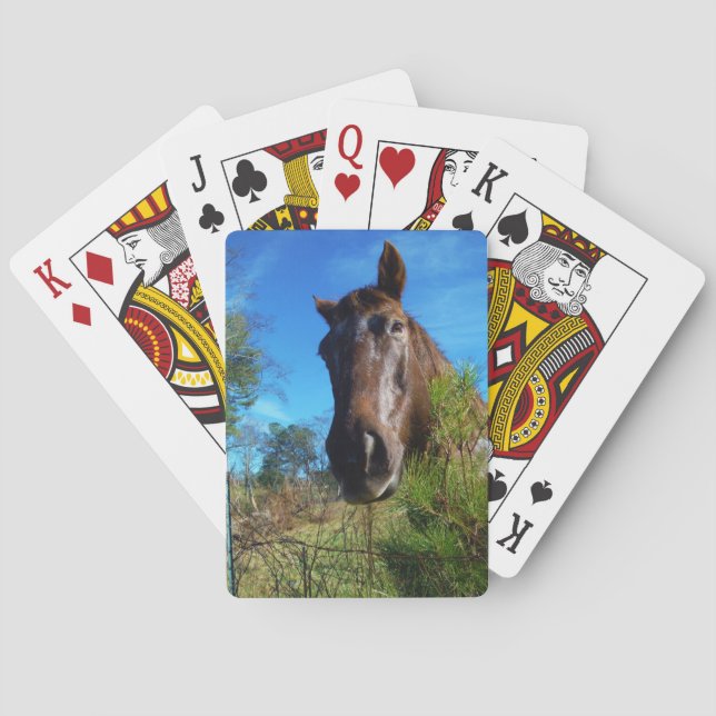 Brown & Cream Coloured Horse blue sky Playing Cards (Back)
