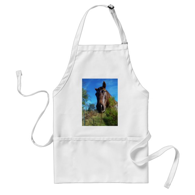 Brown & Cream Coloured Horse blue sky Standard Apron (Front)