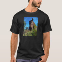 Brown & Cream Coloured Horse blue sky