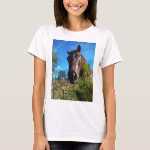 Brown & Cream Coloured Horse blue sky T-Shirt