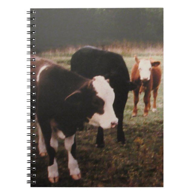 Brown Cream Cows Notebook (Front)